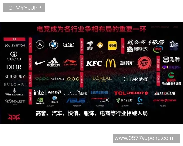 英雄联盟盛宴：深入解析JDG战队的节奏与策略之道